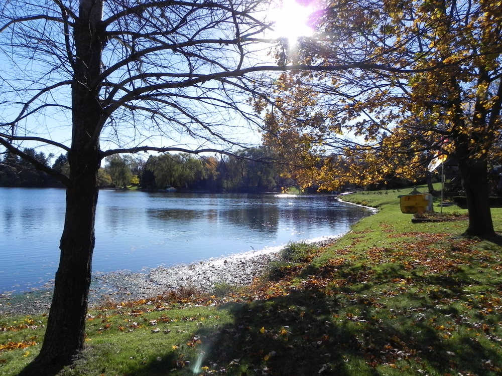 DUCK LAKE ORION TOWNSHIP MICH